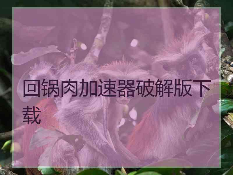 回锅肉加速器破解版下载