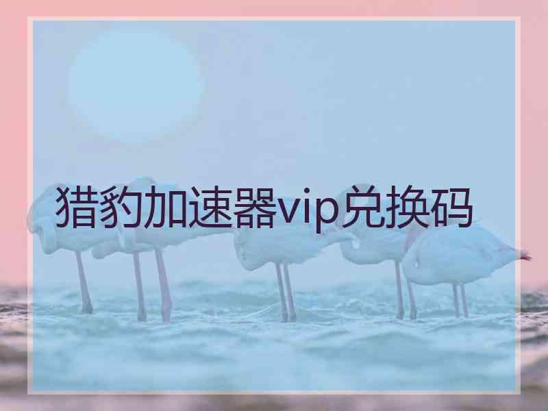 猎豹加速器vip兑换码