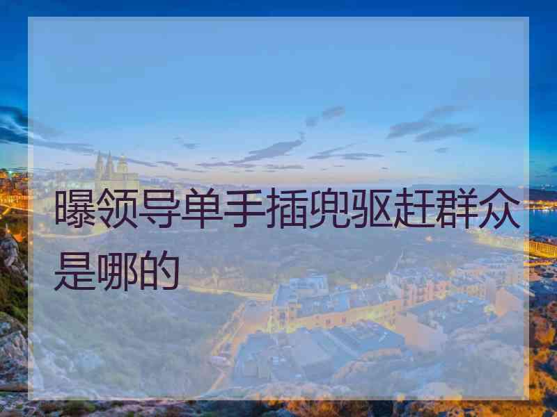 曝领导单手插兜驱赶群众是哪的
