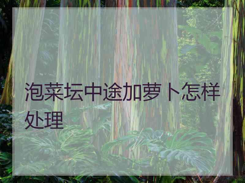泡菜坛中途加萝卜怎样处理