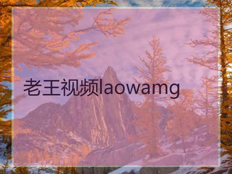 老王视频laowamg