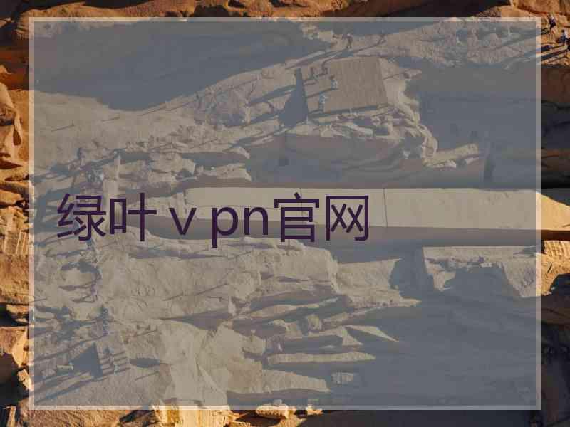 绿叶ⅴpn官网
