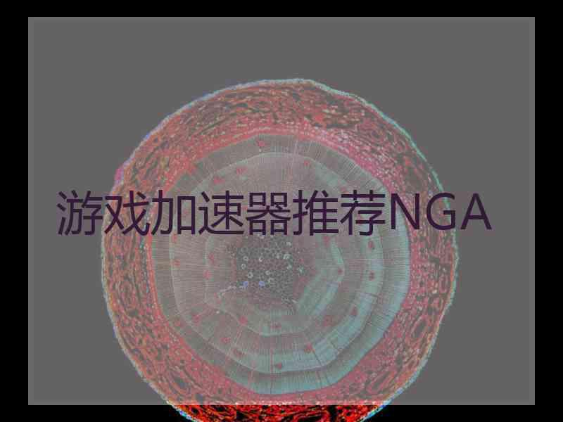 游戏加速器推荐NGA
