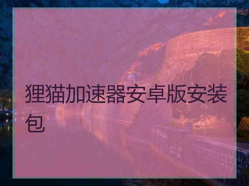 狸猫加速器安卓版安装包