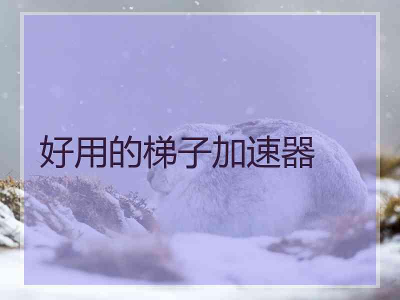 好用的梯子加速器