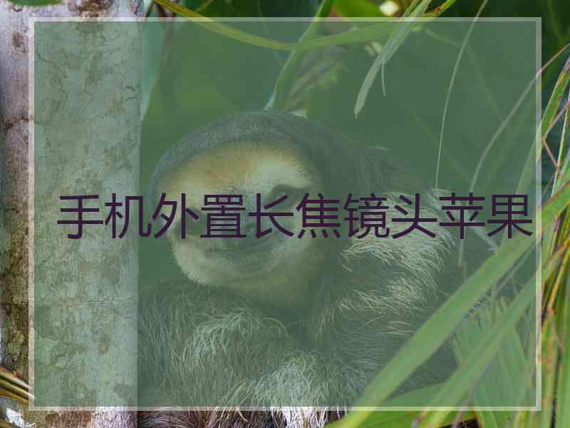 手机外置长焦镜头苹果
