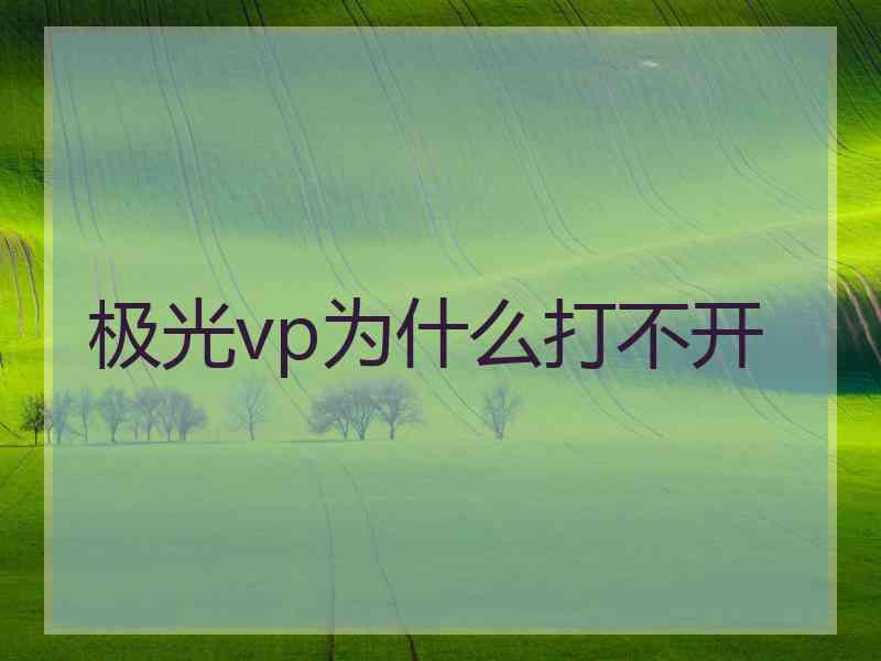 极光vp为什么打不开