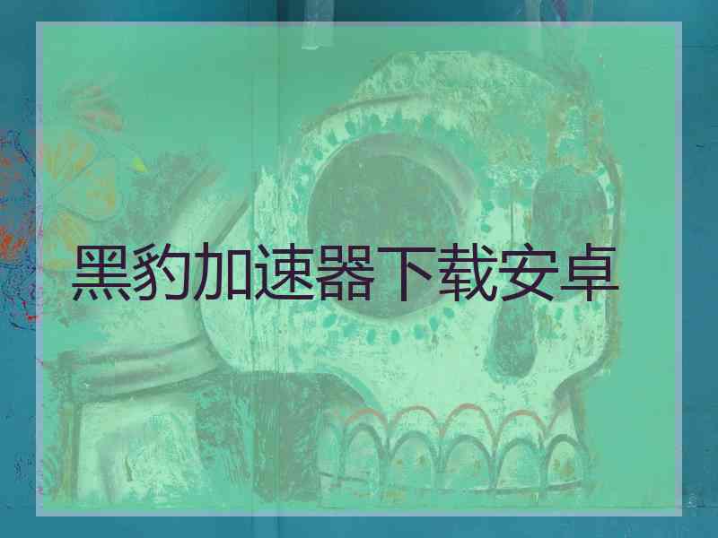 黑豹加速器下载安卓