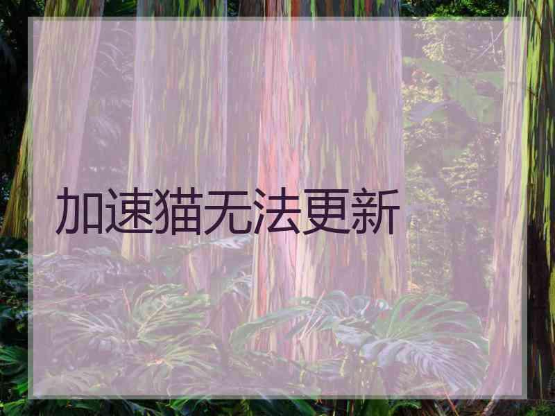 加速猫无法更新