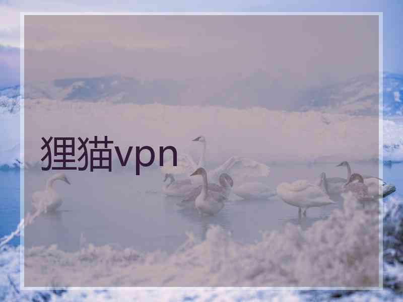 狸猫vpn