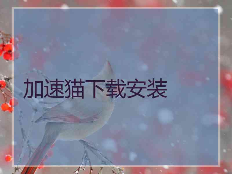 加速猫下载安装