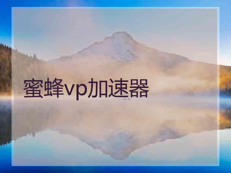 蜜蜂vp加速器