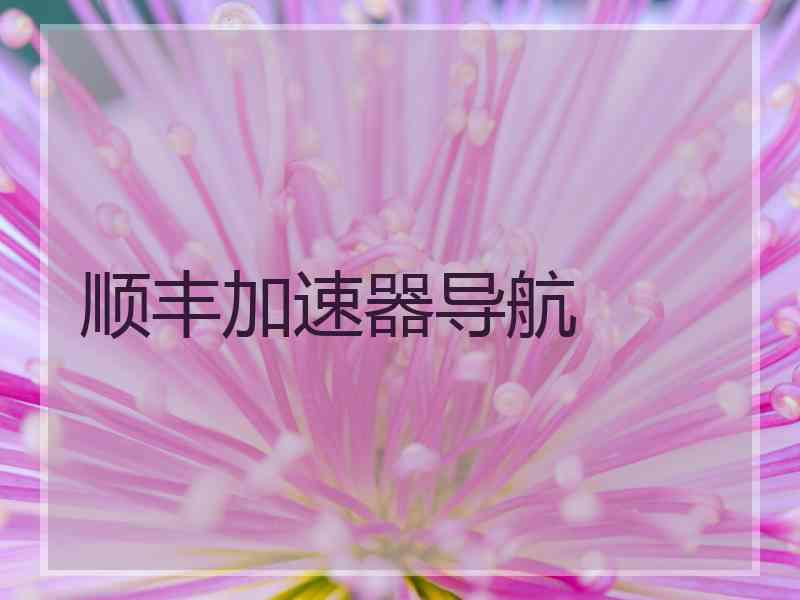 顺丰加速器导航