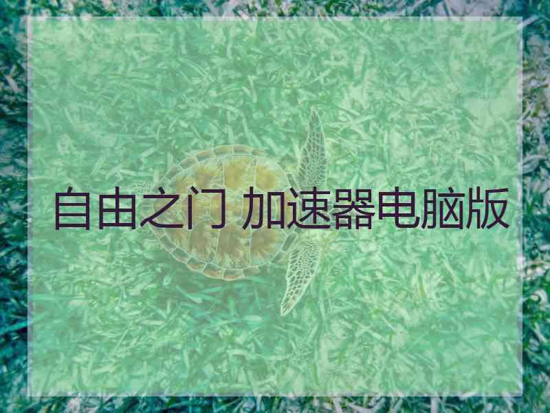 自由之门 加速器电脑版