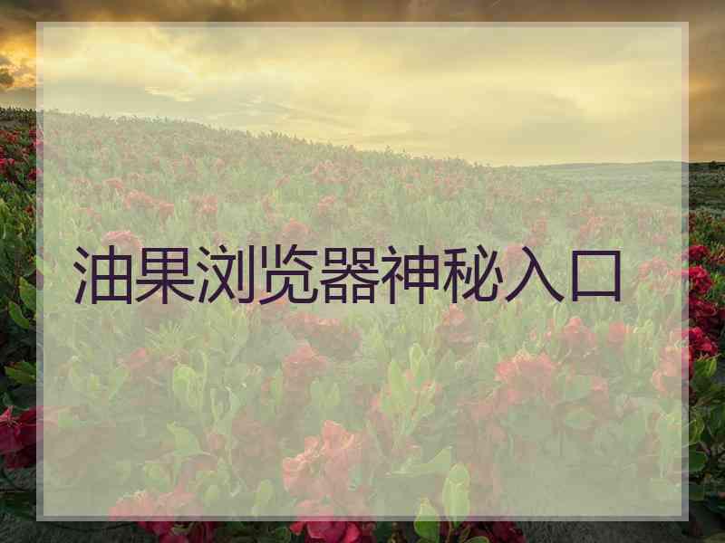 油果浏览器神秘入口