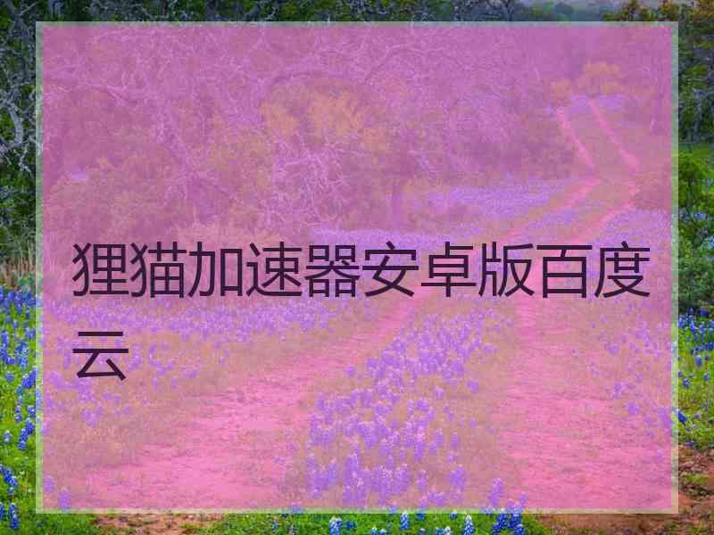 狸猫加速器安卓版百度云