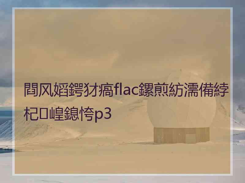 閰风嫍鍔犲瘑flac鏍煎紡濡備綍杞崲鎴恗p3