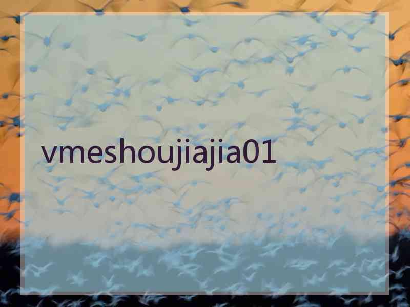 vmeshoujiajia01