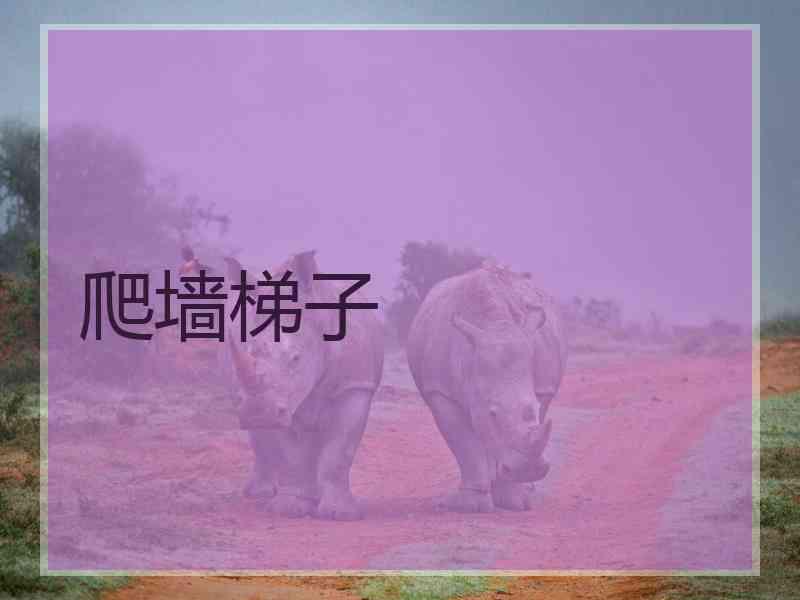 爬墙梯子