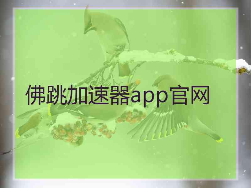 佛跳加速器app官网