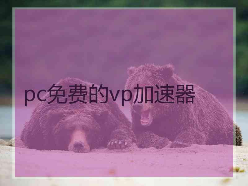 pc免费的vp加速器
