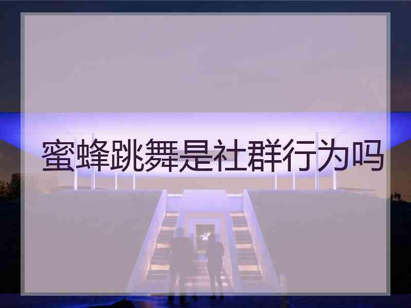 蜜蜂跳舞是社群行为吗