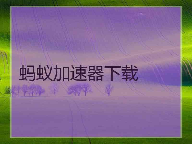 蚂蚁加速器下载