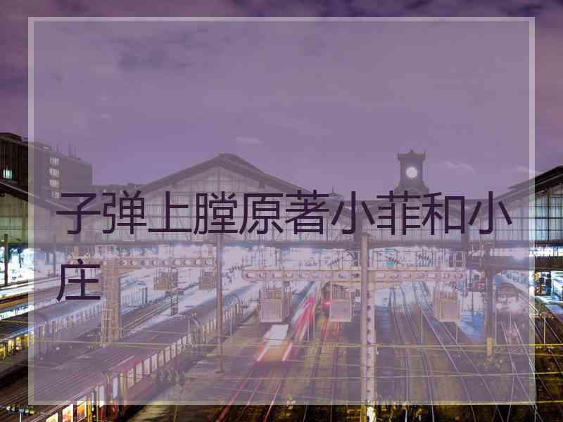 子弹上膛原著小菲和小庄