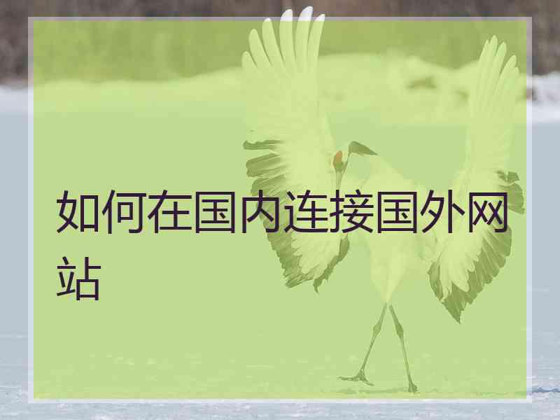 如何在国内连接国外网站