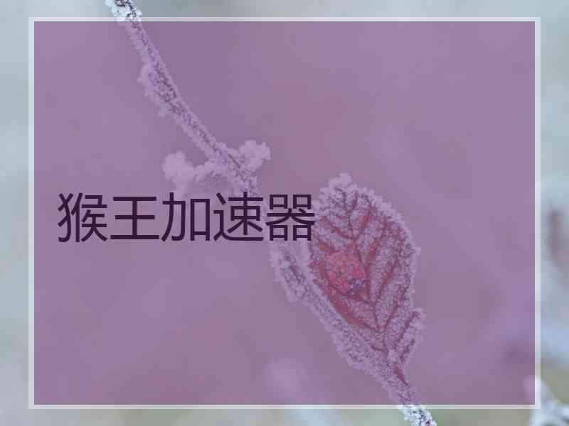 猴王加速器