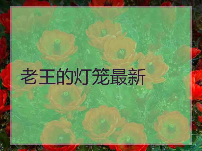 老王的灯笼最新