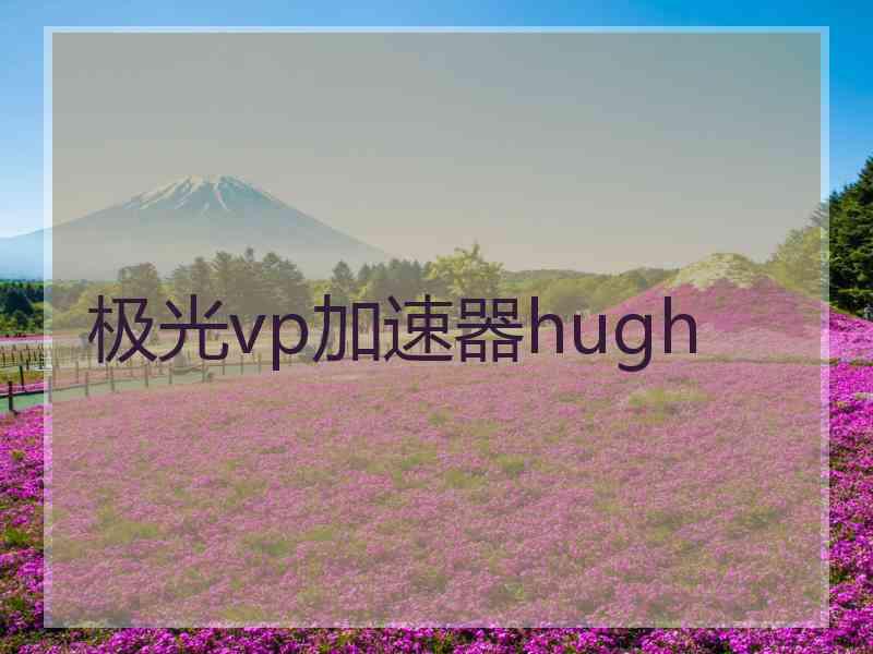 极光vp加速器hugh