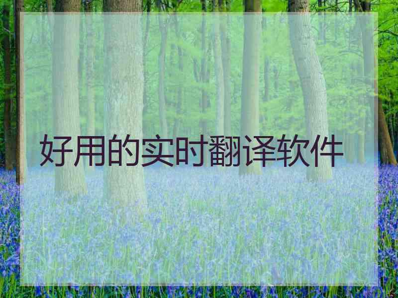 好用的实时翻译软件
