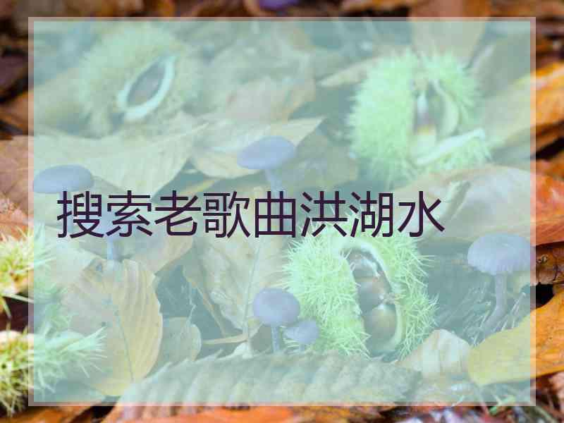 搜索老歌曲洪湖水