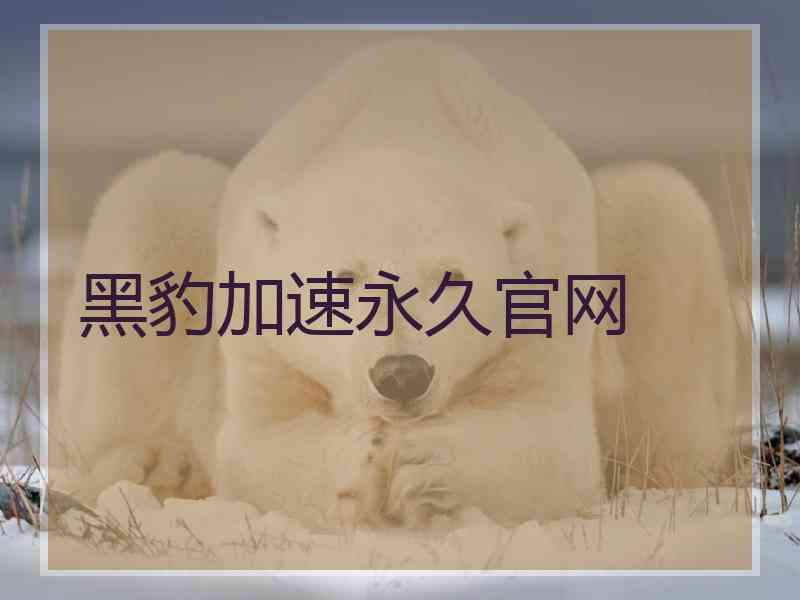 黑豹加速永久官网