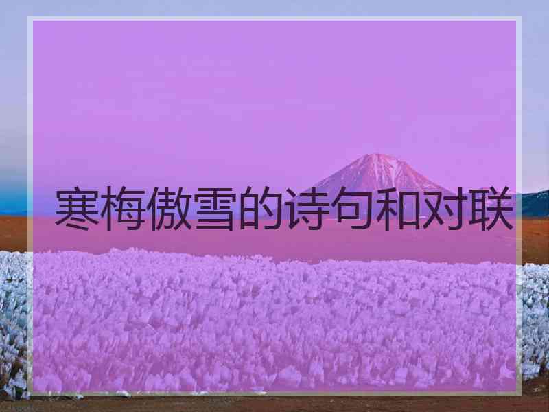 寒梅傲雪的诗句和对联