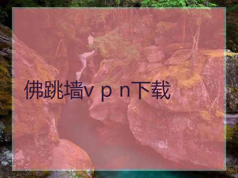 佛跳墙v p n下载