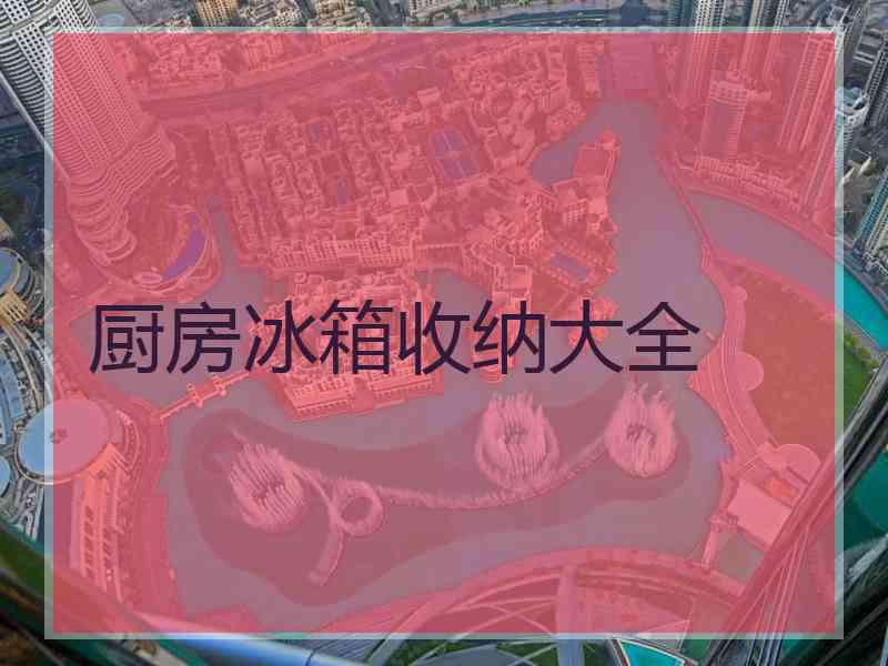 厨房冰箱收纳大全