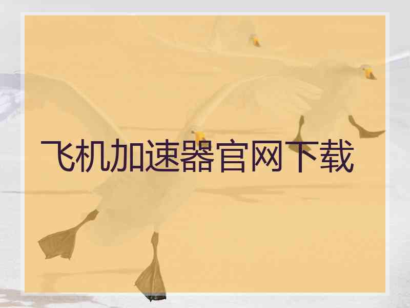 飞机加速器官网下载