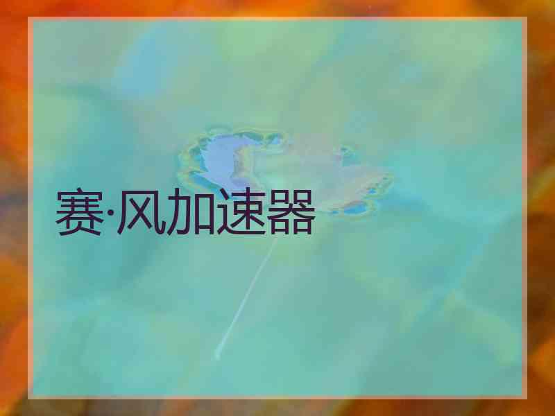 赛·风加速器