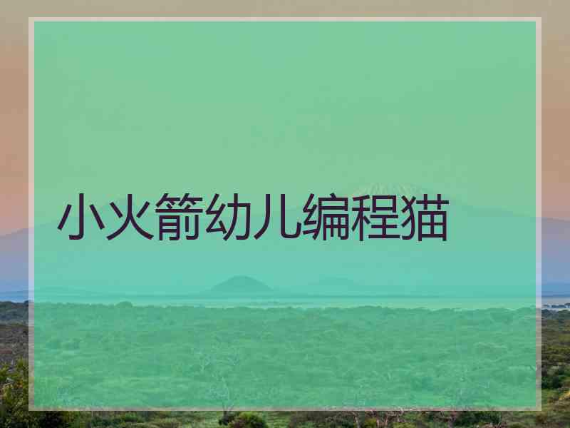小火箭幼儿编程猫
