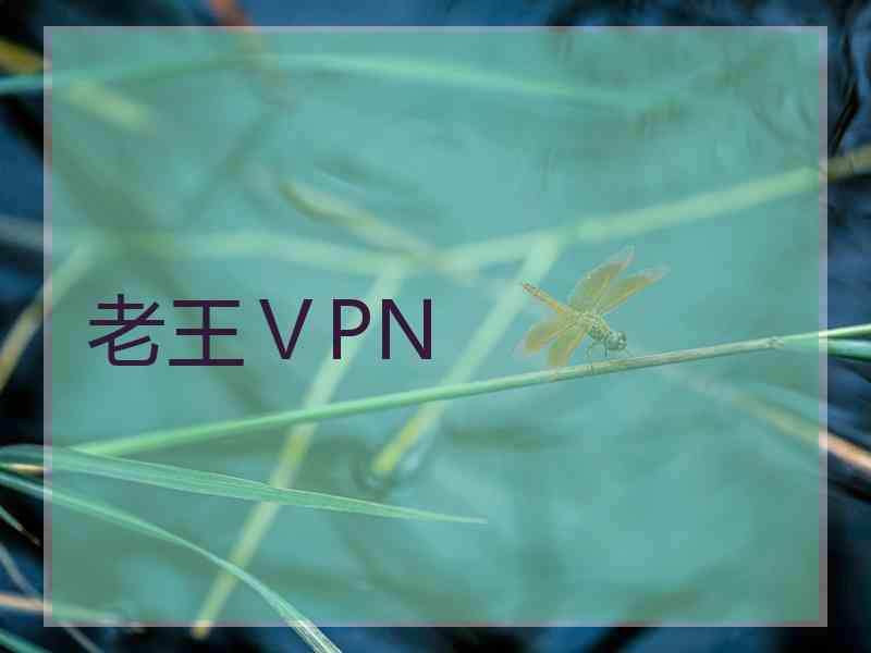老王ⅤPN