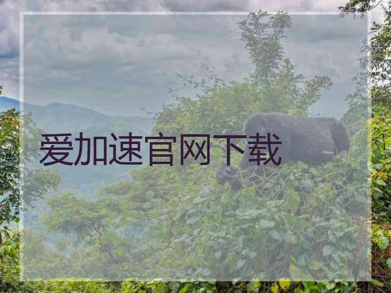 爱加速官网下载