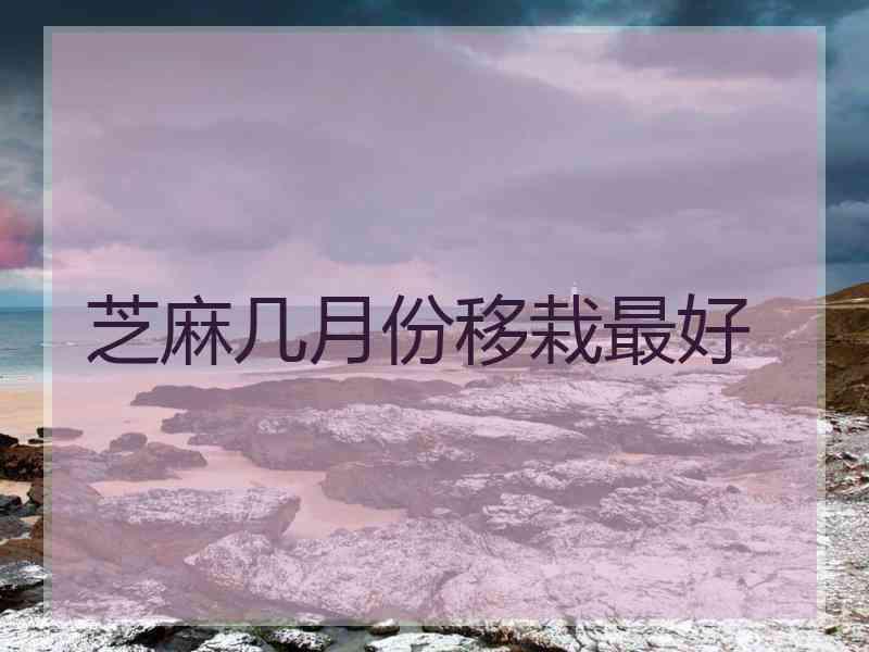 芝麻几月份移栽最好