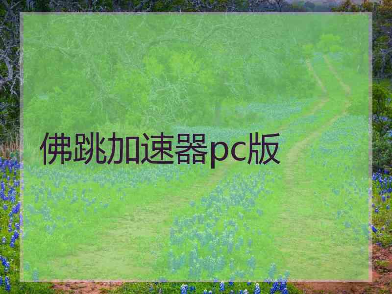 佛跳加速器pc版