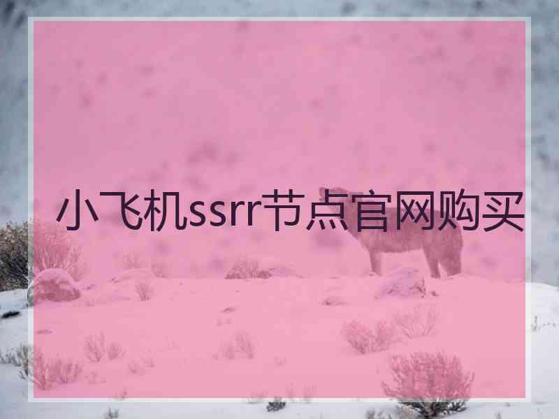 小飞机ssrr节点官网购买