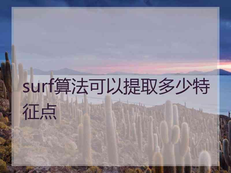 surf算法可以提取多少特征点