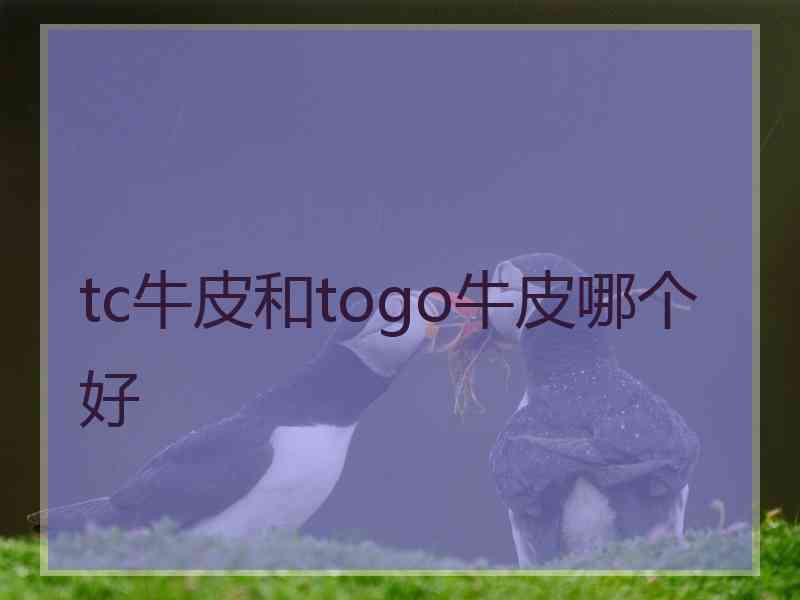 tc牛皮和togo牛皮哪个好