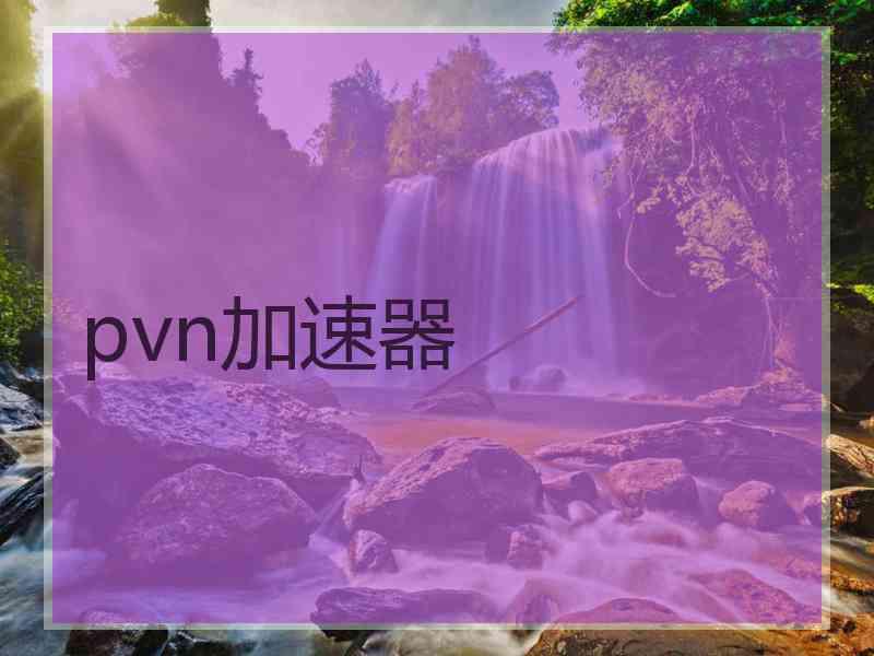 pvn加速器
