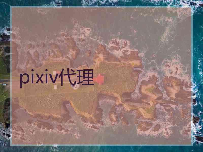 pixiv代理